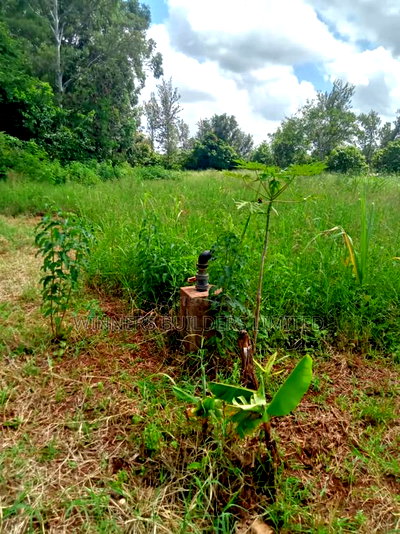 4 Acres for Sale at Sagana - Image 9