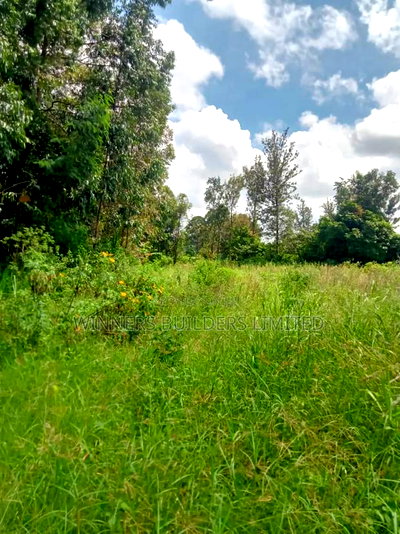 4 Acres for Sale at Sagana - Image 10