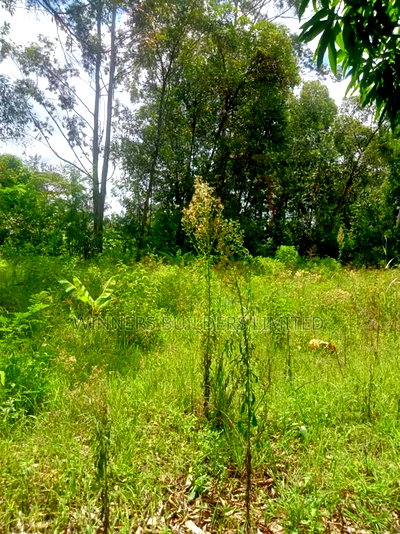 4 Acres for Sale at Sagana - Image 2