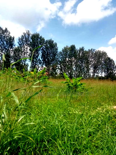4 Acres for Sale at Sagana - Image 13