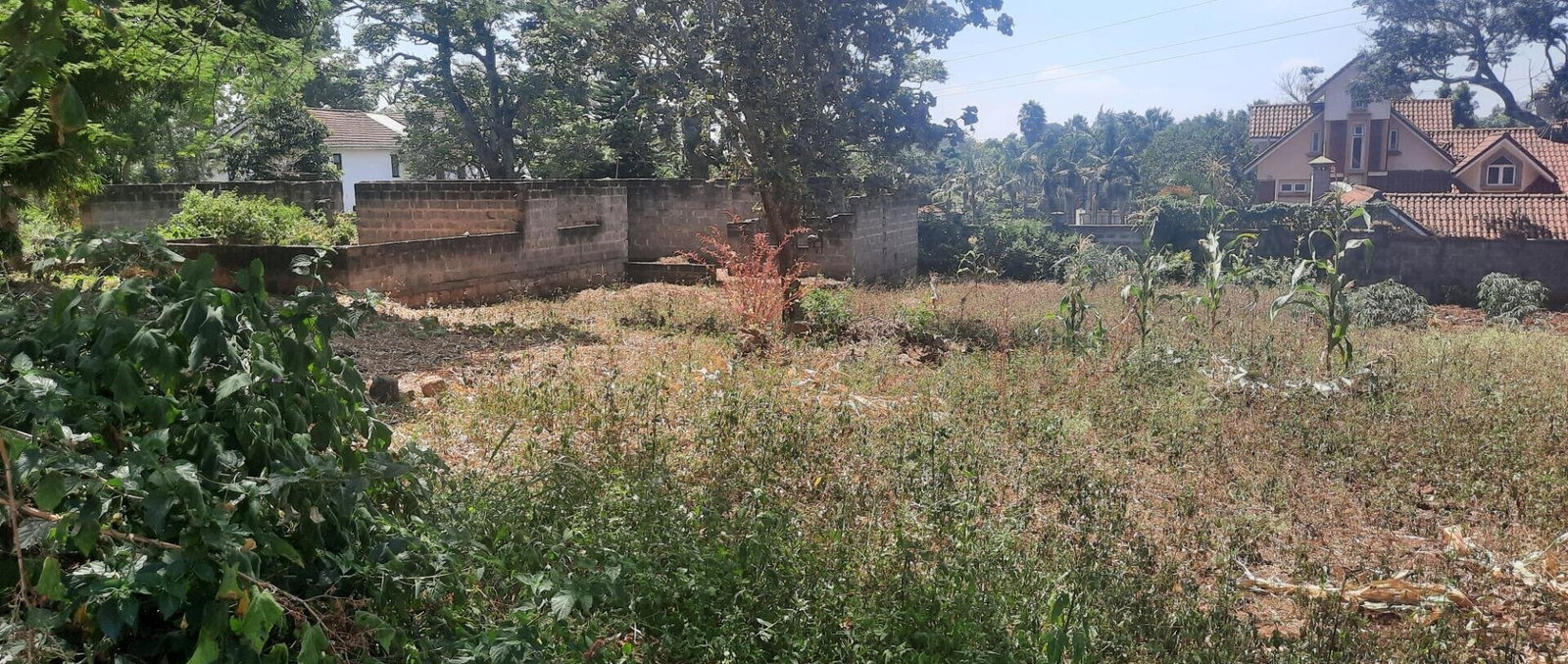 1/2 Acre Runda Plot with Garden