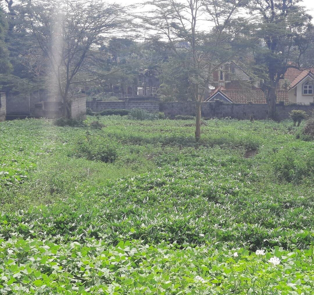 1/2 Acre Runda Plot with Garden