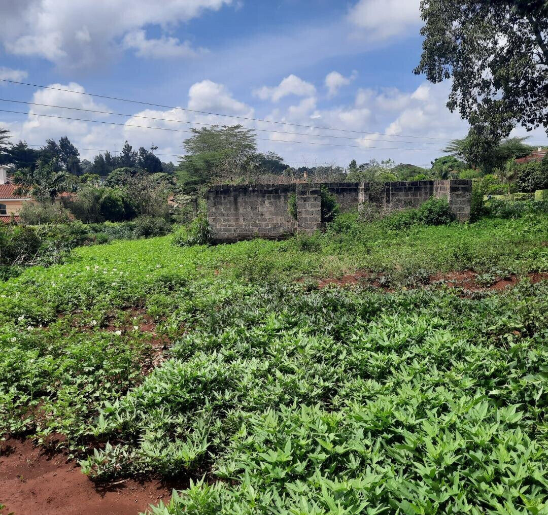 1/2 Acre Runda Plot with Garden