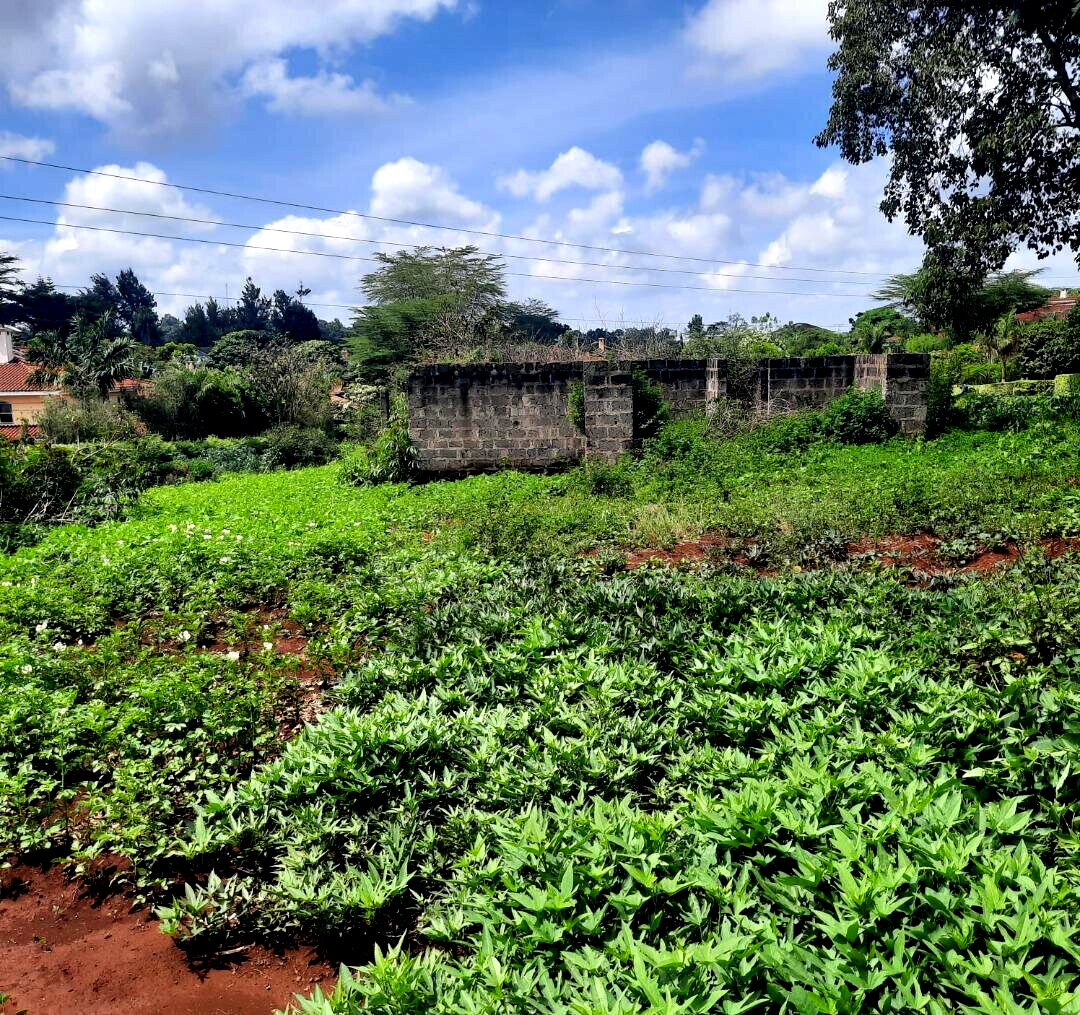 1/2 Acre Runda Plot with Garden