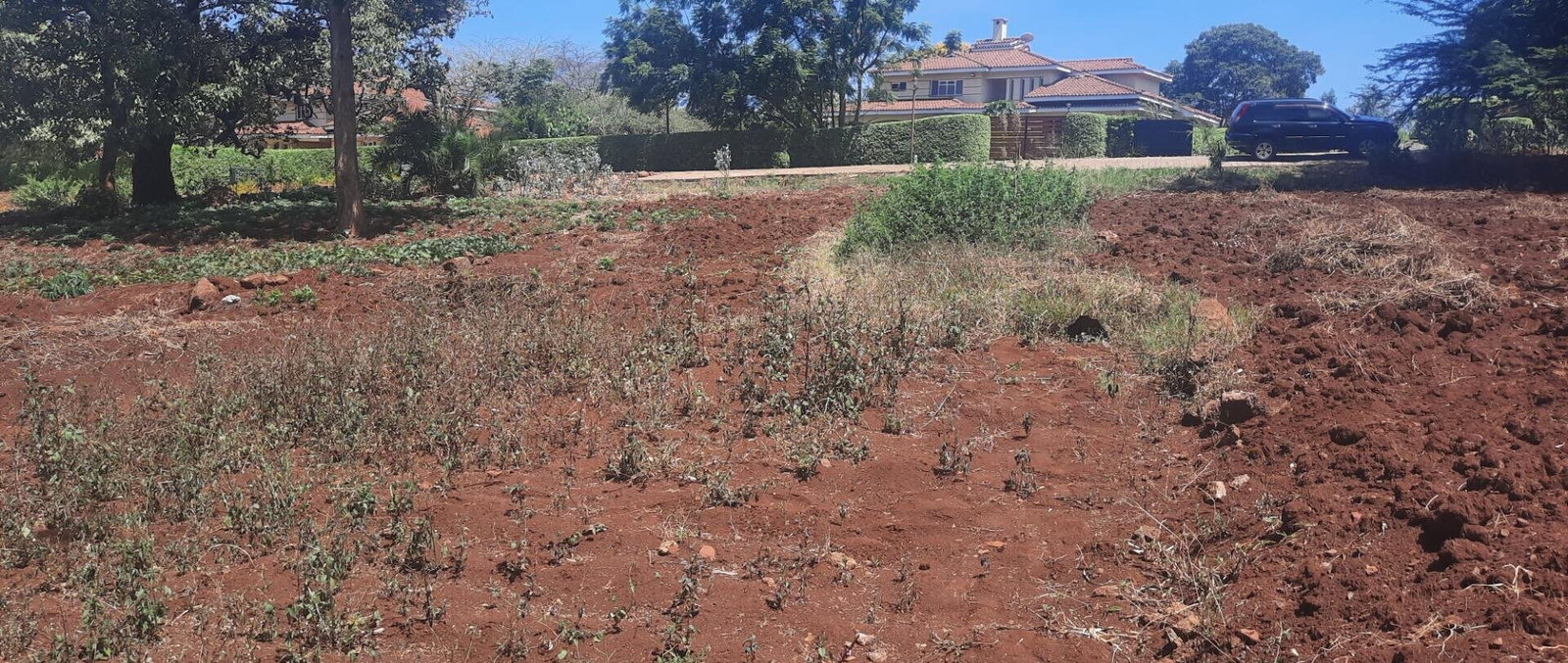 1/2 Acre Runda Plot with Garden