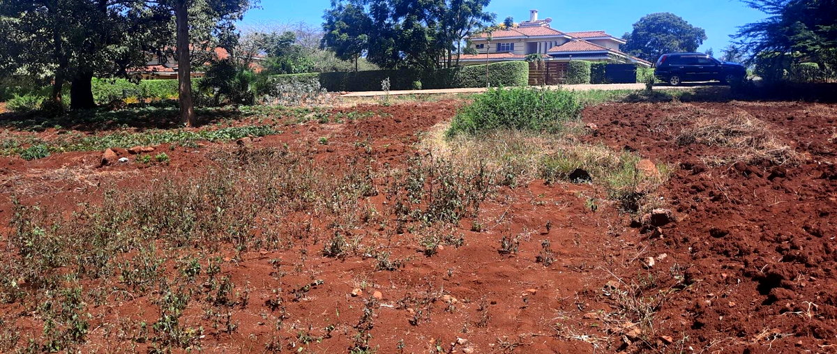 1/2 Acre Runda Plot with Garden