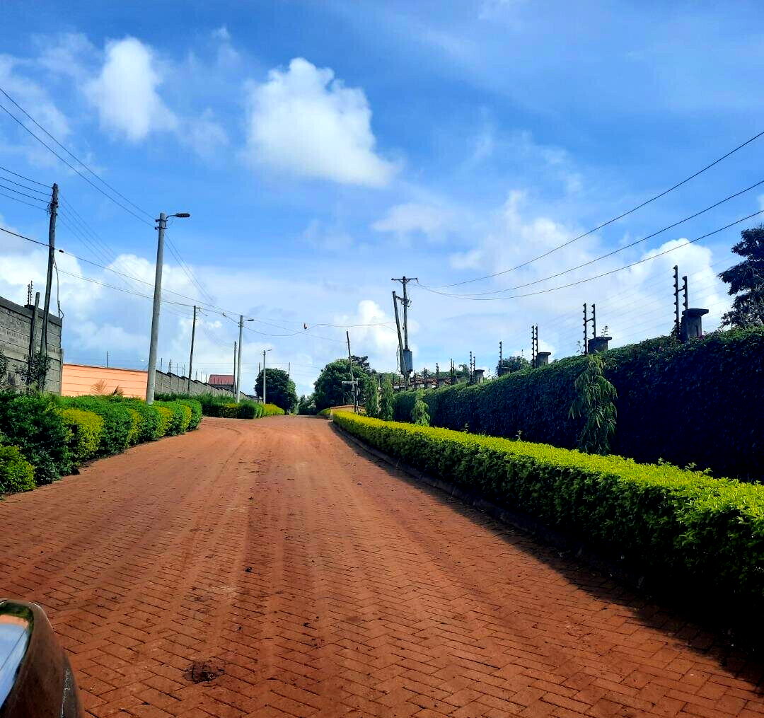 1/2 Acre Runda Plot with Garden