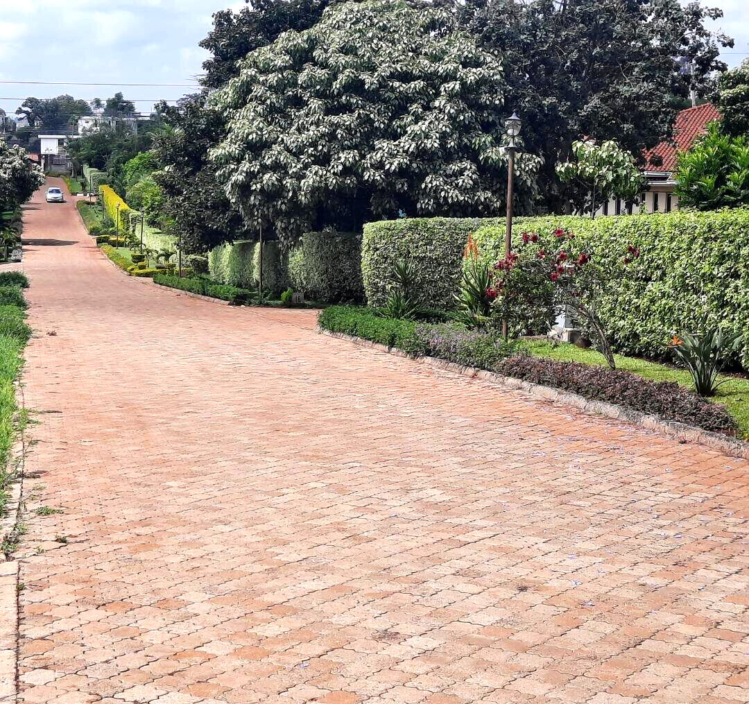 1/2 Acre Runda Plot with Garden