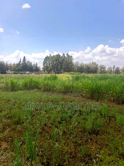 Quarter Acre Kibiku-Ngong - Image 4