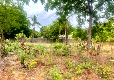 Half Acre Plot in Watamu for KSh 11M