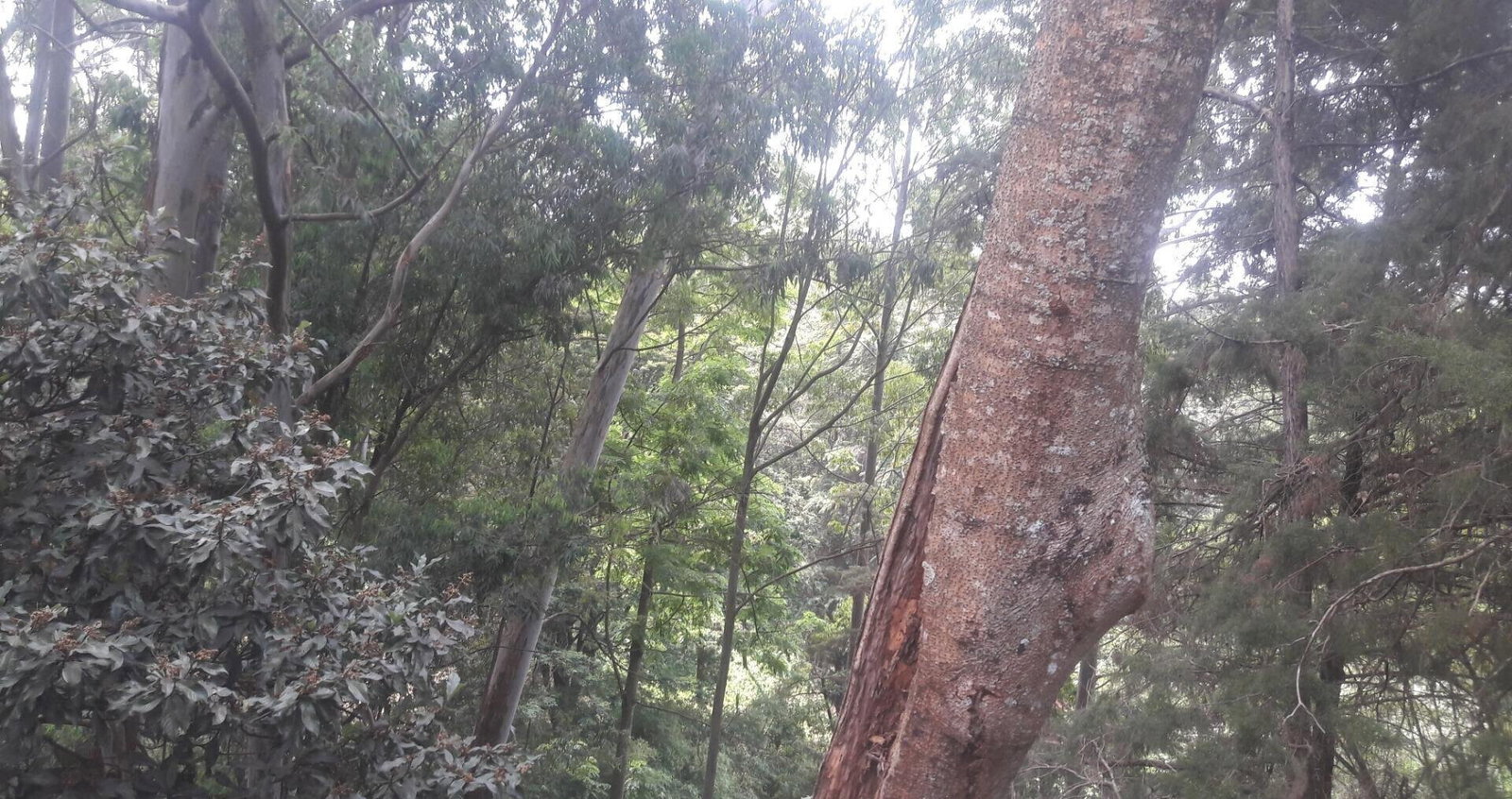 1-Acre Beach Plot for KSh 20M