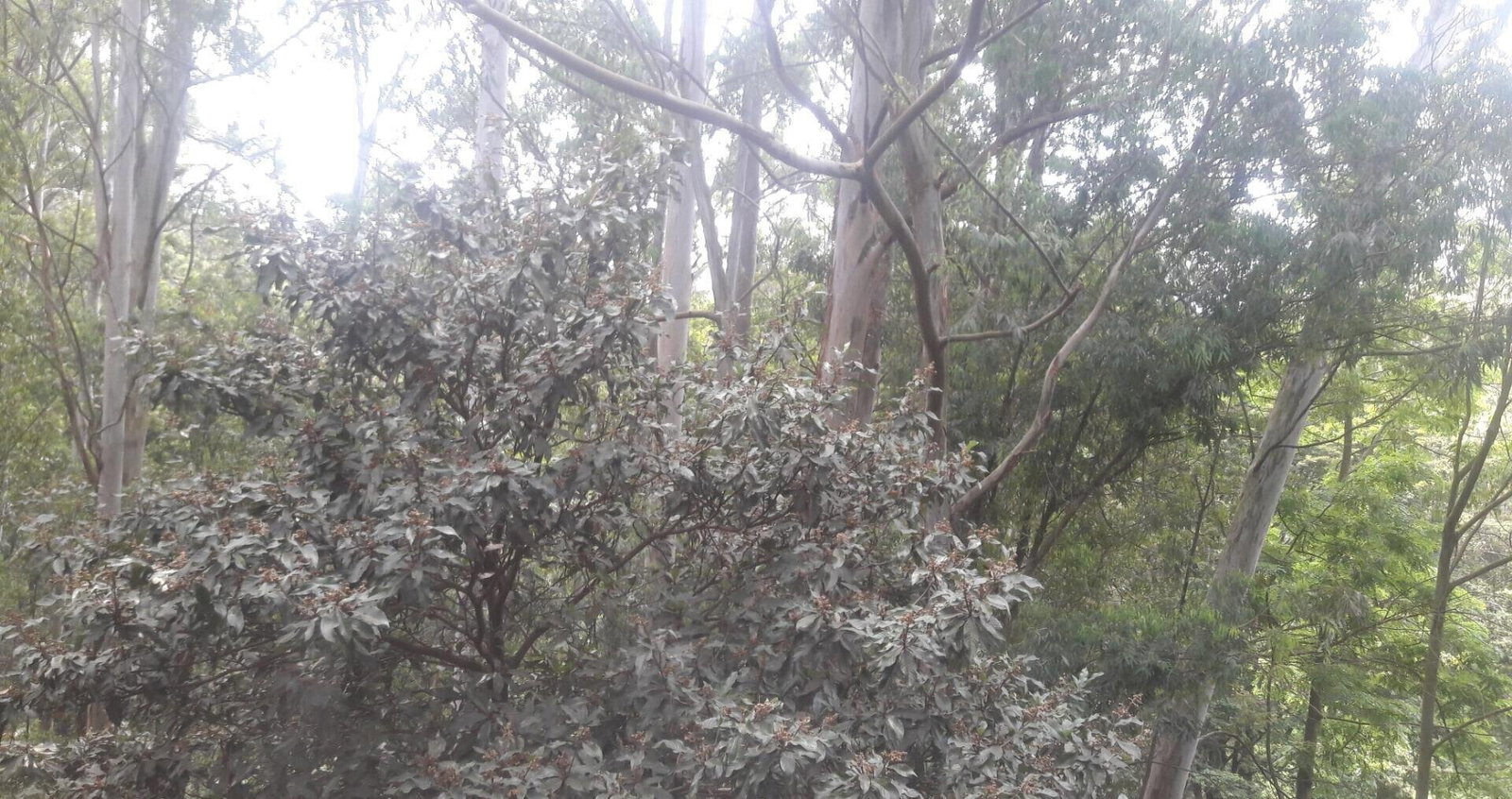 1-Acre Beach Plot for KSh 20M