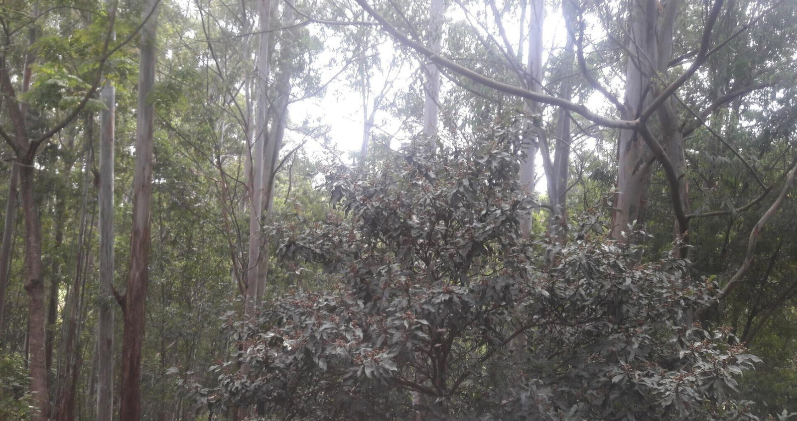 1-Acre Beach Plot for KSh 20M