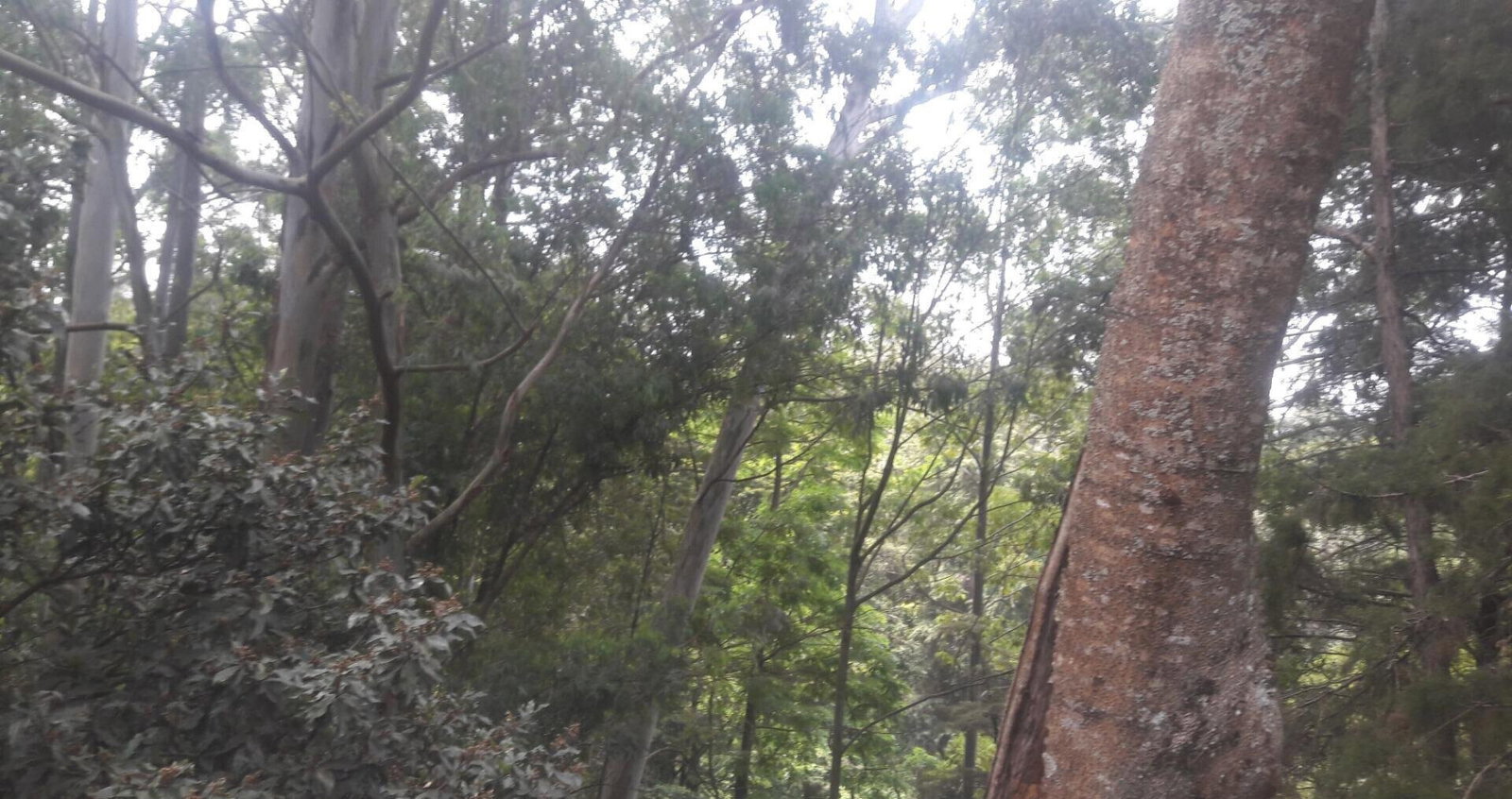 1-Acre Beach Plot for KSh 20M