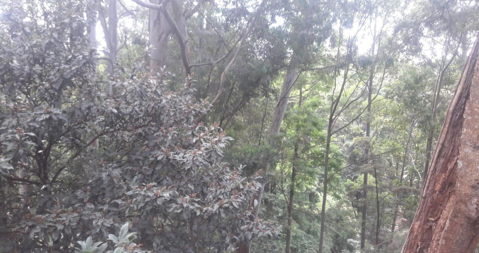 1-Acre Beach Plot for KSh 20M