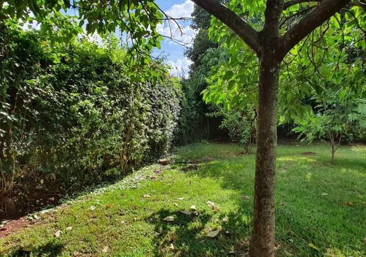 1-Acre Kitisuru Plot at KSh 130M