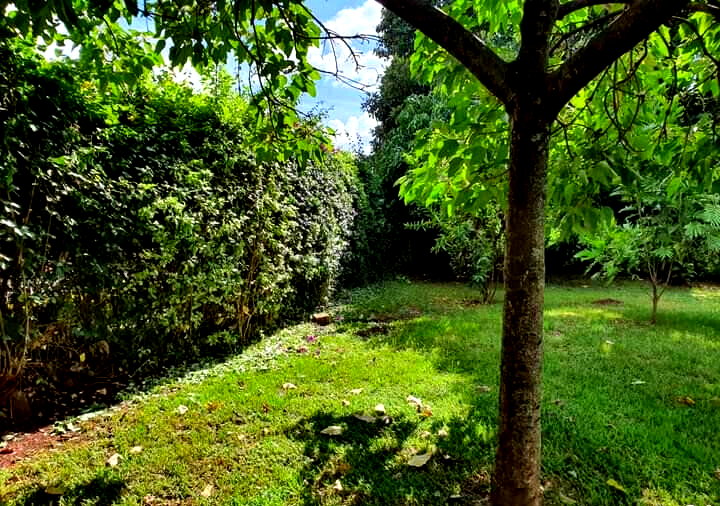 1-Acre Kitisuru Plot at KSh 130M
