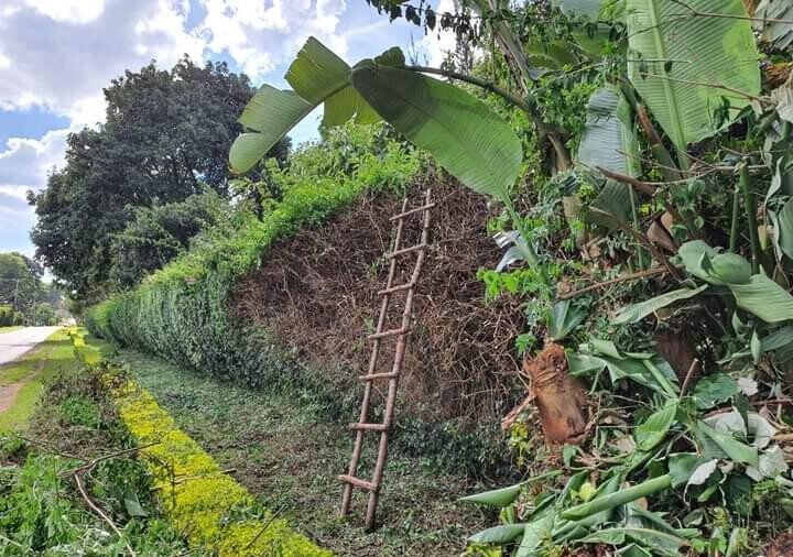 1-Acre Kitisuru Plot at KSh 130M
