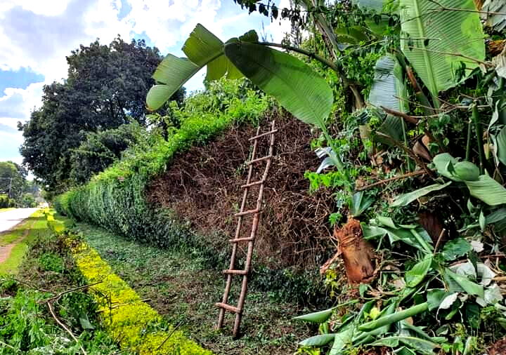 1-Acre Kitisuru Plot at KSh 130M