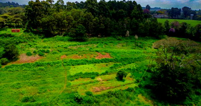 10.8-Acre Karen Gem at KSh 702M