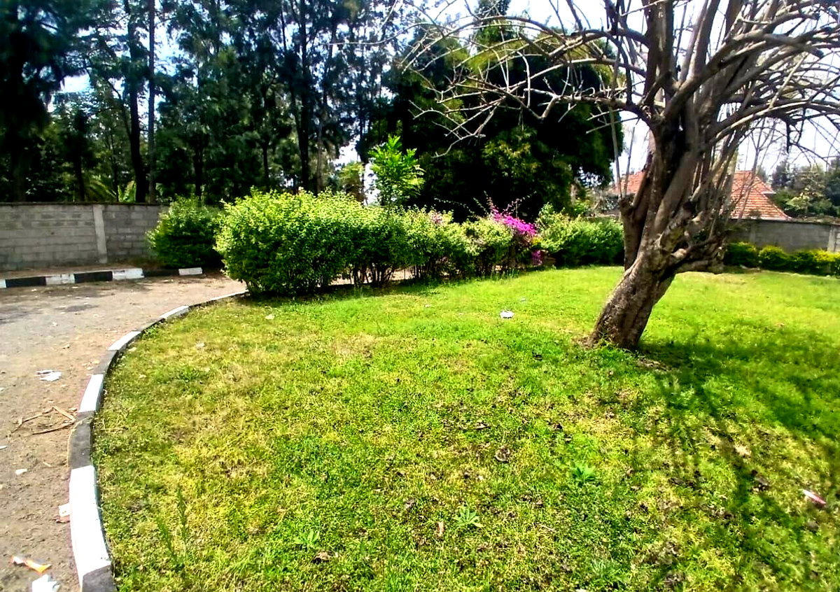 Garden Office Space for Rent at KSh 65K