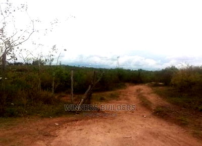 2 Acres for Sale at Ngoliba - Image 3