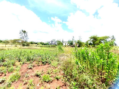 Thika Greens Prime 1/4 Acre Plot on Quick Sale. - Image 10