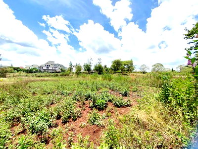 Thika Greens Prime 1/4 Acre Plot on Quick Sale. - Image 4