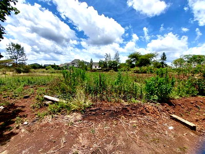 Thika Greens Prime 1/4 Acre Plot on Quick Sale. - Image 7