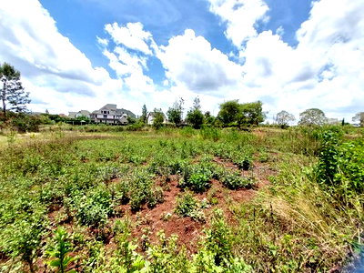 Thika Greens Prime 1/4 Acre Plot on Quick Sale. - Image 9