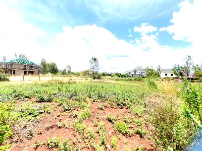 Thika Greens Prime 1/4 Acre Plot on Quick Sale. - Image 3