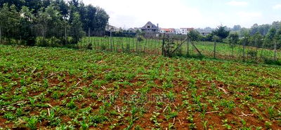 1 Acre Land for Sale in Elgonview Eldoret - Image 4