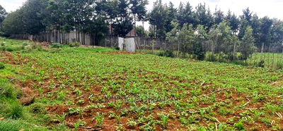 1 Acre Land for Sale in Elgonview Eldoret - Image 6