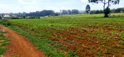 1 Acre Land for Sale in Elgonview Eldoret - Image 2