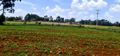 1 Acre Land for Sale in Elgonview Eldoret - Image 1