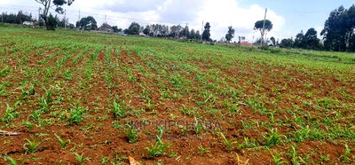 1 Acre Land for Sale in Elgonview Eldoret - Image 5