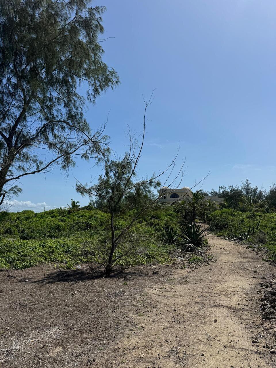 4BR Beachfront Villa on 4 Acres with Title Deed