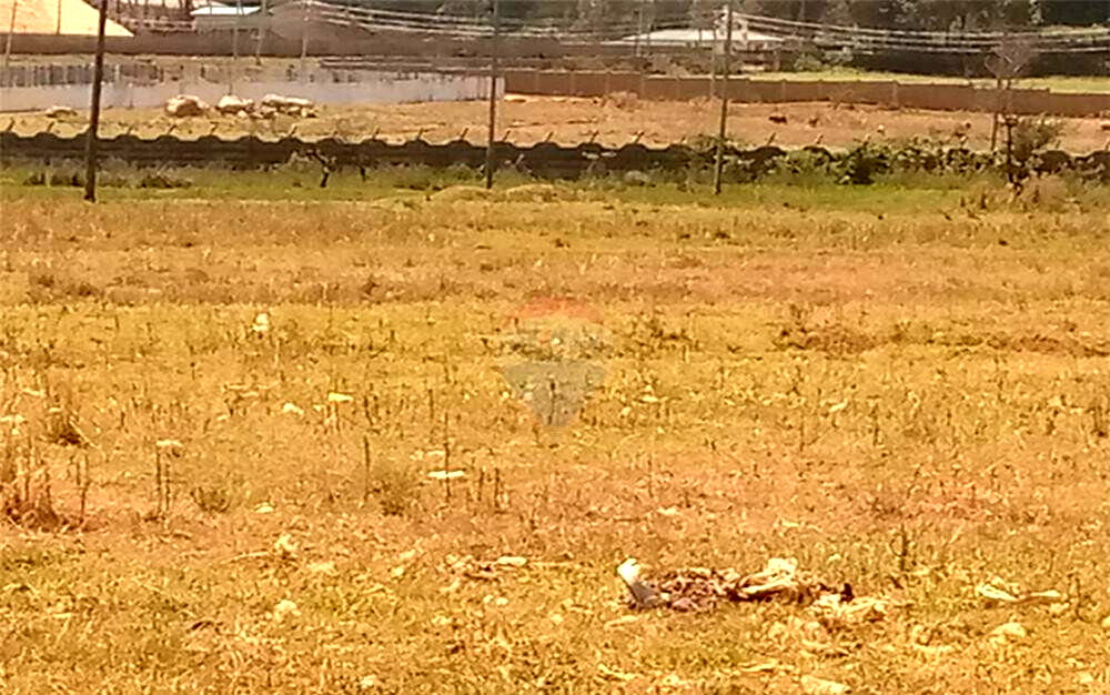18.4-Acre Development Land in Eldoret West