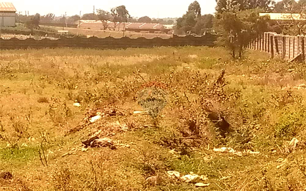 18.4-Acre Development Land in Eldoret West