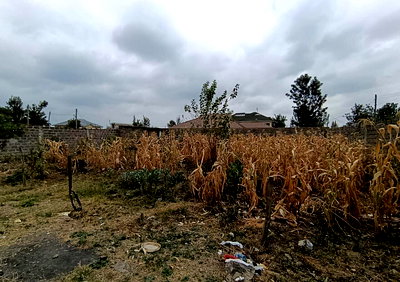 1/8 Acre Garden Plot in Ruai