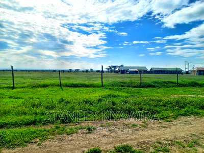 Selling 2acreas Endana - Image 2