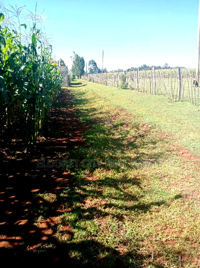 1/2 Acre Kaplelach After Kilombe. - Image 3