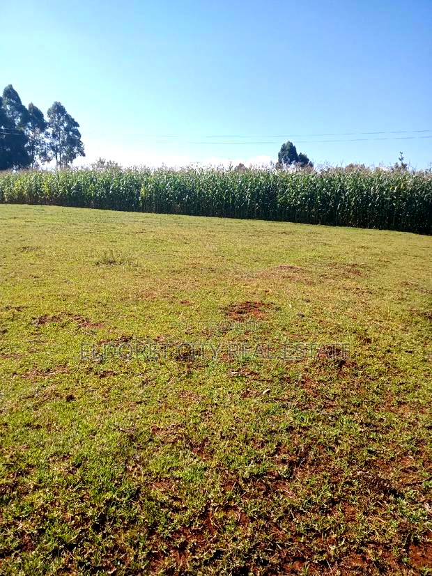 1/2 Acre Kaplelach After Kilombe.