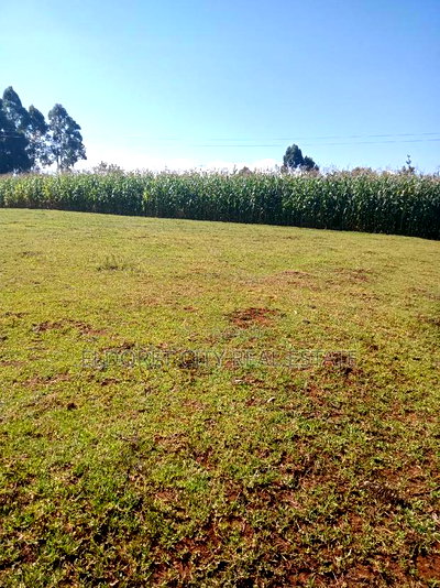 1/2 Acre Kaplelach After Kilombe. - Image 1