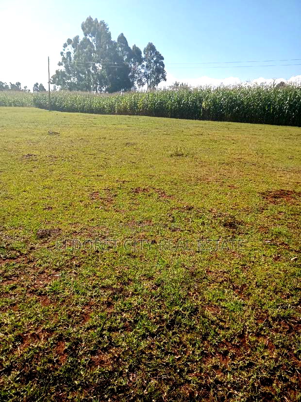 1/2 Acre Kaplelach After Kilombe.