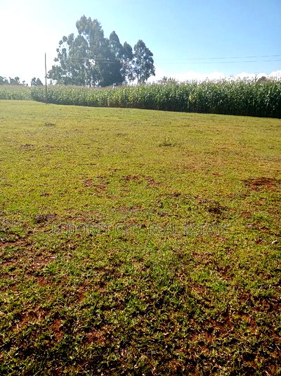 1/2 Acre Kaplelach After Kilombe. - Image 2