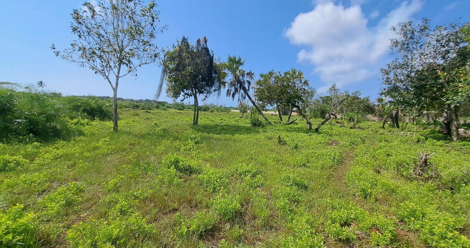 Garden Plot with Parking at KSh 1.8M