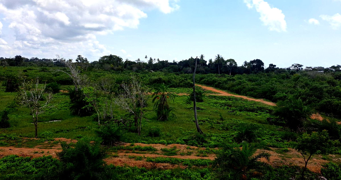 Garden Plot with Parking at KSh 1.8M