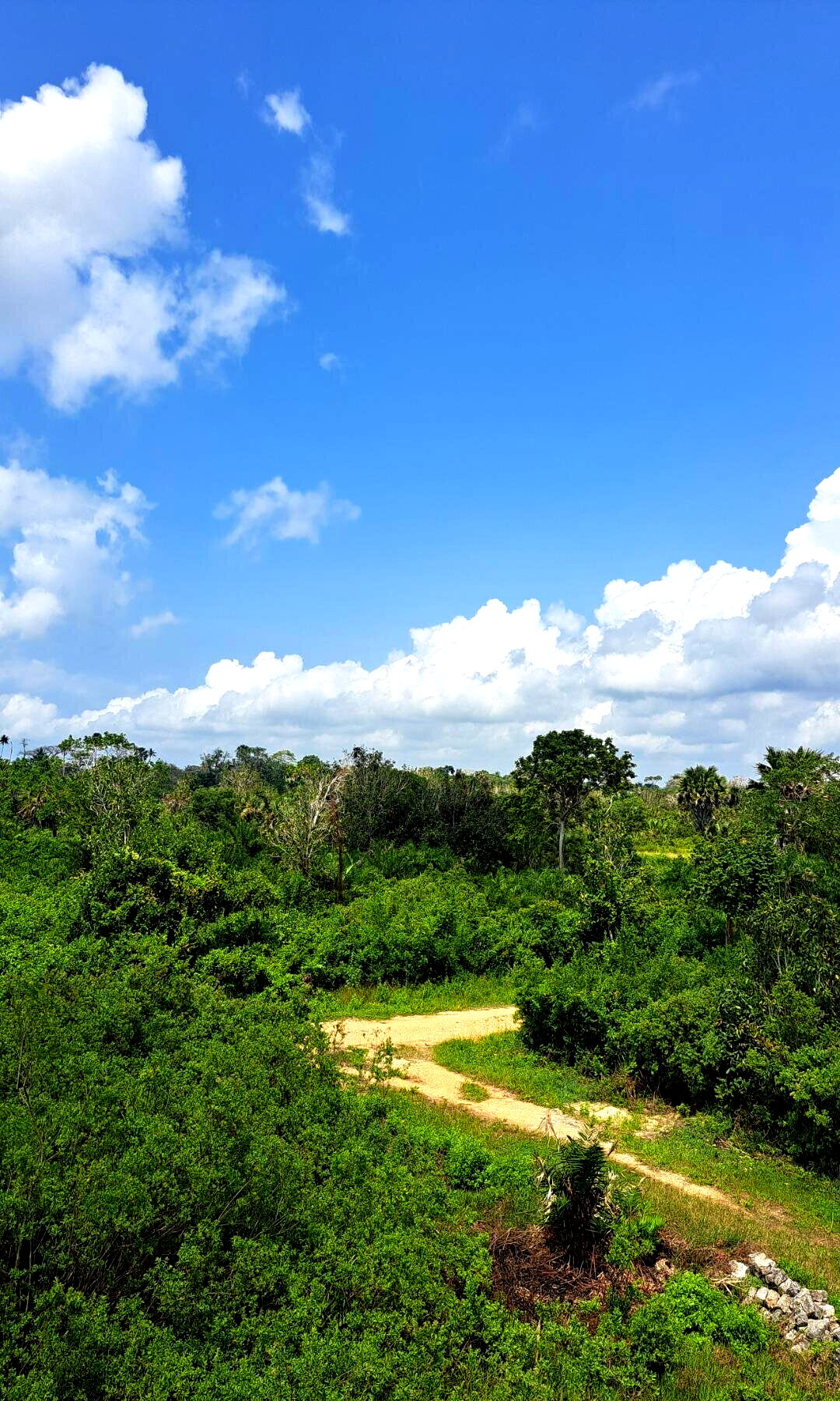 Garden Plot with Parking at KSh 1.8M
