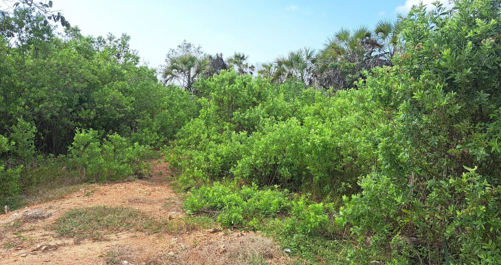 Garden Plot with Parking at KSh 1.8M